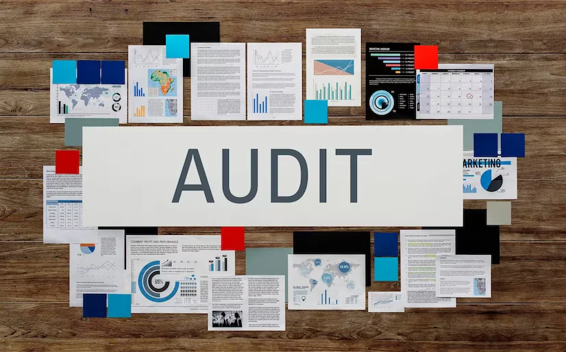 GST audit FY 24